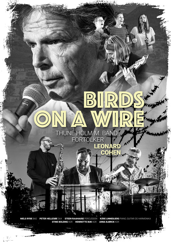 Birds On A Wire plakat